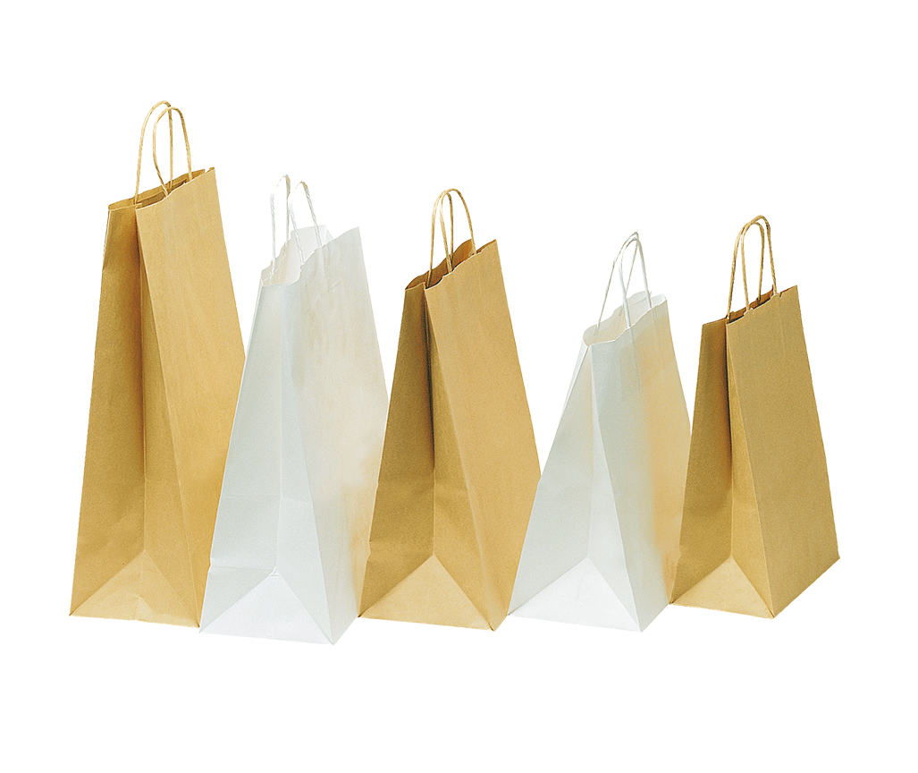 Sac kraft économique blanc/brun